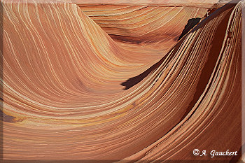 The Wave